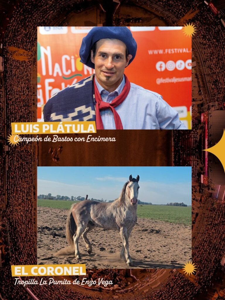 img 20251216 wa01015188166856653809096