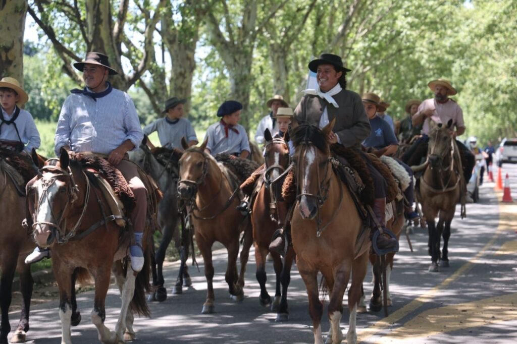 img 20260105 wa00129093474213876334690