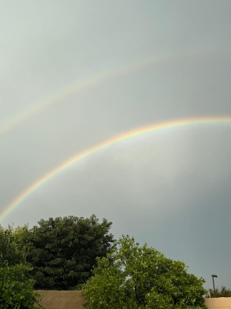 img 20260113 wa02694730232105051255356