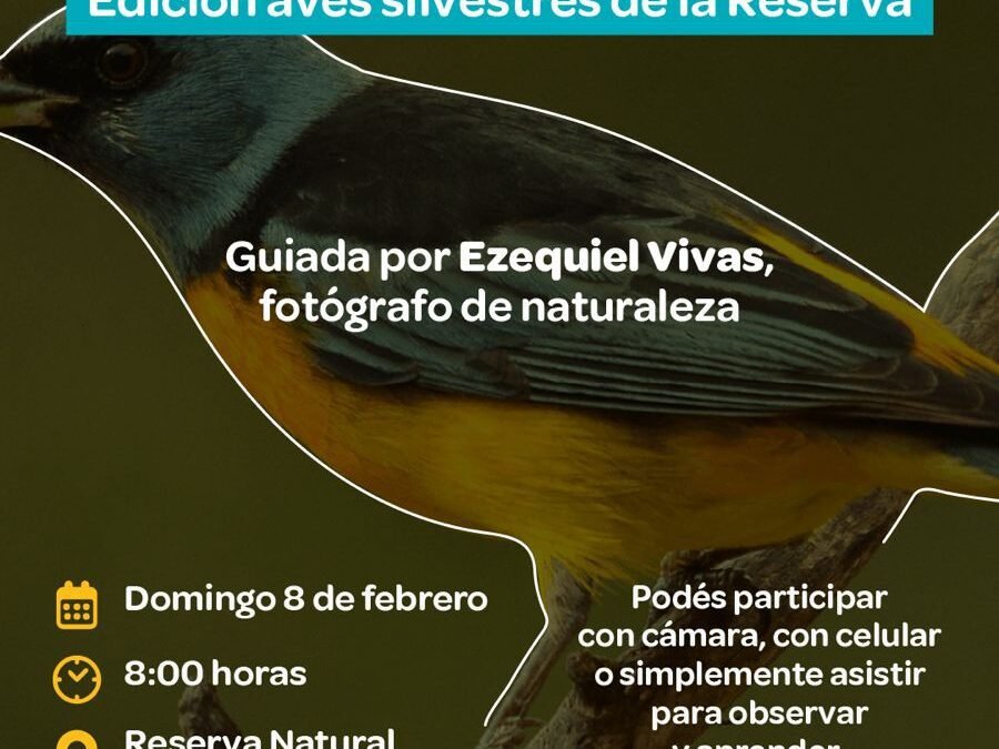 Safari Fotográfico: edición aves silvestres en el Parque del Oeste