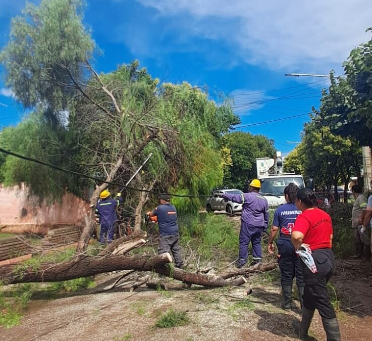 La tormenta hizo desastre en Colonia Caroya