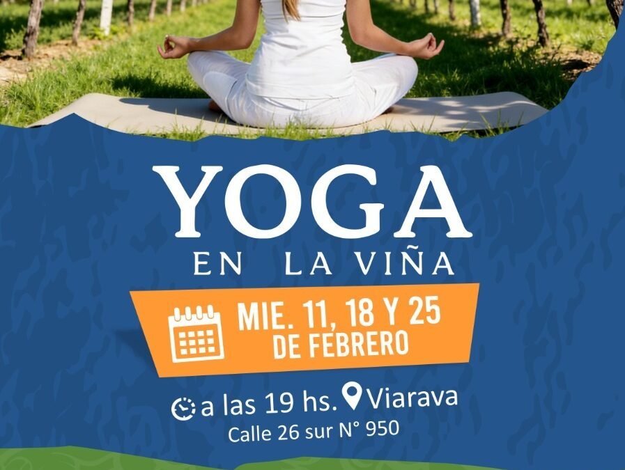 Yoga en las viñas