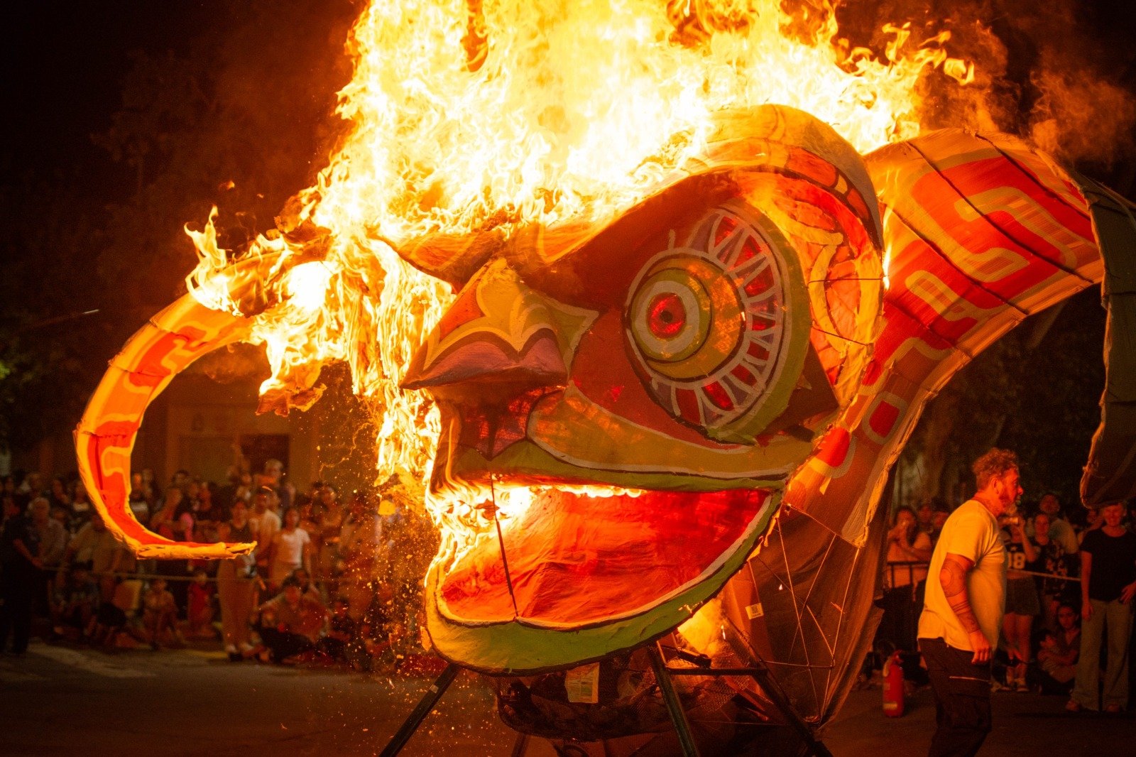 Los números de los Carnavales Caroyenses
